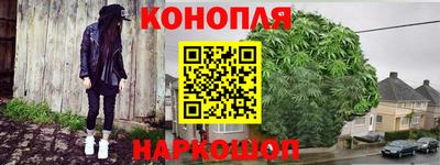 шишки Гусев