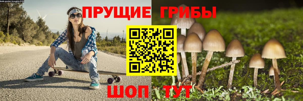 Псилоцибиновые грибы ЛСД Норильск